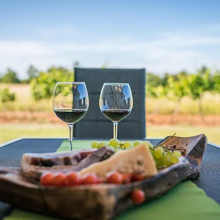 Vitis Vitae 펜션 *